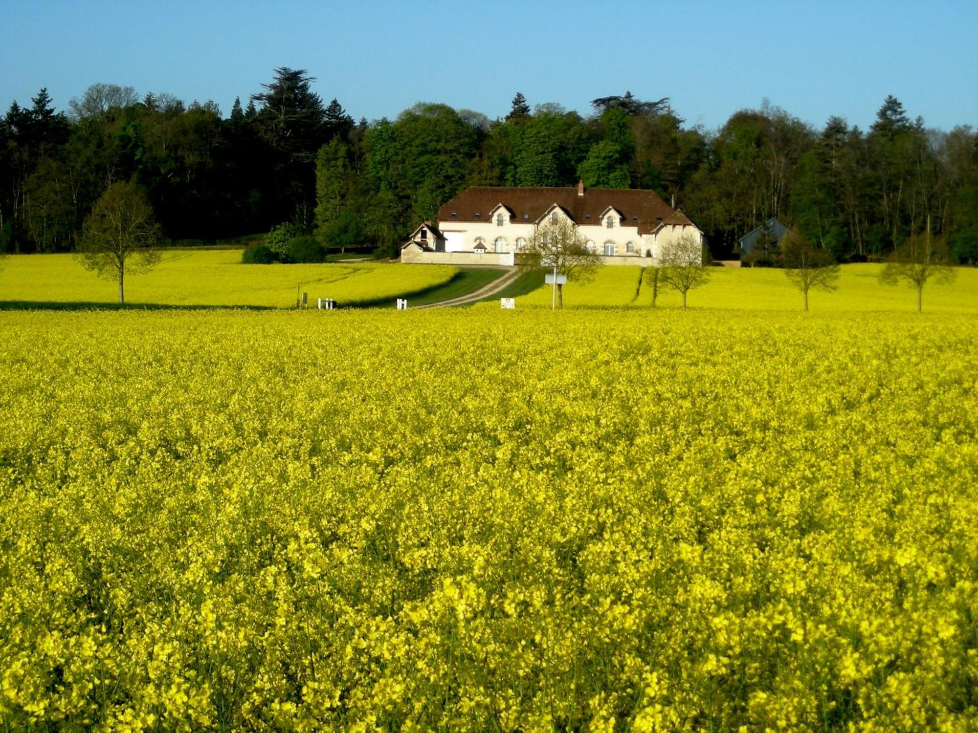 Domaine De La Maison Neuve Holiday home Saint-Jean-Saint-Germain